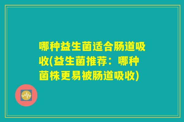 哪种益生菌适合肠道吸收(益生菌推荐：哪种菌株更易被肠道吸收)