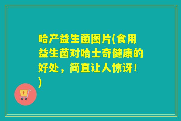 哈产益生菌图片(食用益生菌对哈士奇健康的好处，简直让人惊讶！)
