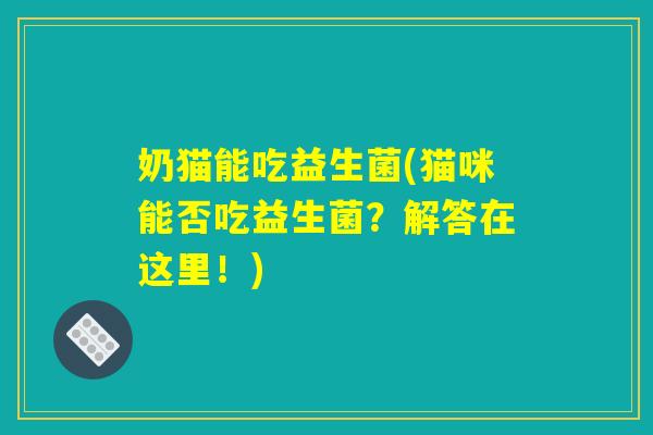 奶猫能吃益生菌(猫咪能否吃益生菌？解答在这里！)