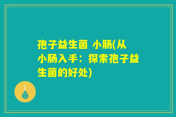 孢子益生菌 小肠(从小肠入手：探索孢子益生菌的好处)