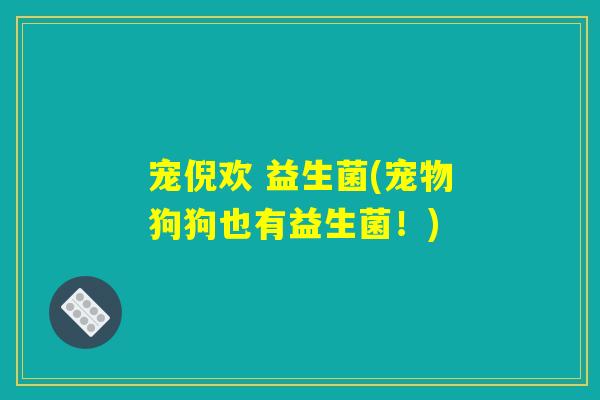 宠倪欢 益生菌(宠物狗狗也有益生菌！)