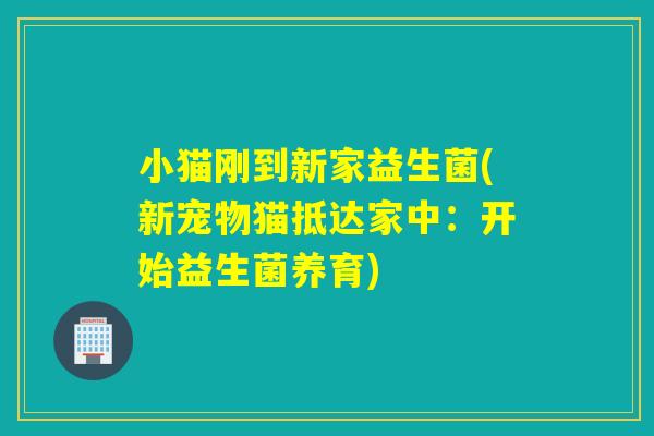 小猫刚到新家益生菌(新宠物猫抵达家中：开始益生菌养育)