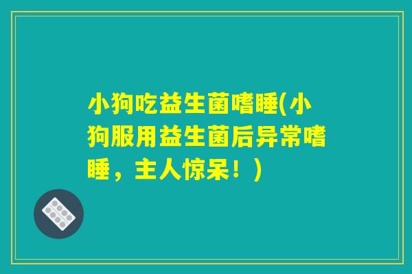 小狗吃益生菌嗜睡(小狗服用益生菌后异常嗜睡，主人惊呆！)