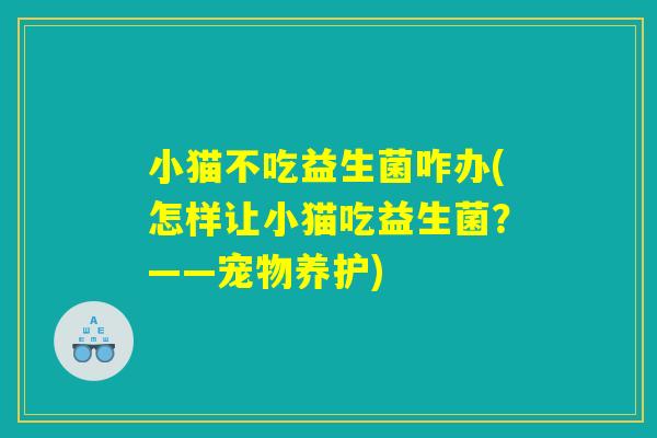 小猫不吃益生菌咋办(怎样让小猫吃益生菌?——宠物养护) 小猫不吃益生菌咋办(怎样让小猫吃益生菌?——宠物养护)