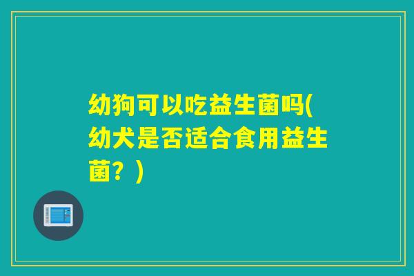 幼狗可以吃益生菌吗(幼犬是否适合食用益生菌？)