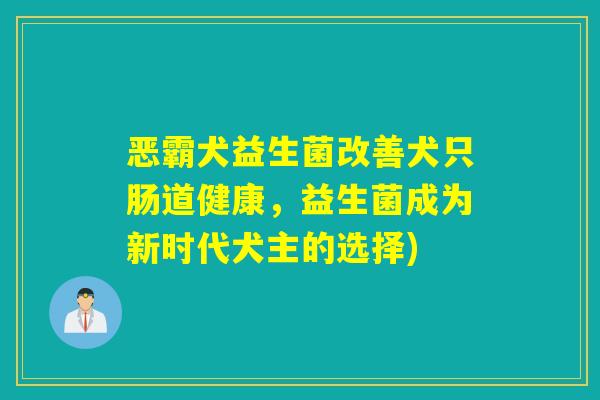 恶霸犬益生菌改善犬只肠道健康，益生菌成为新时代犬主的选择)