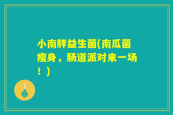 小南胖益生菌(南瓜菌瘦身，肠道派对来一场！)