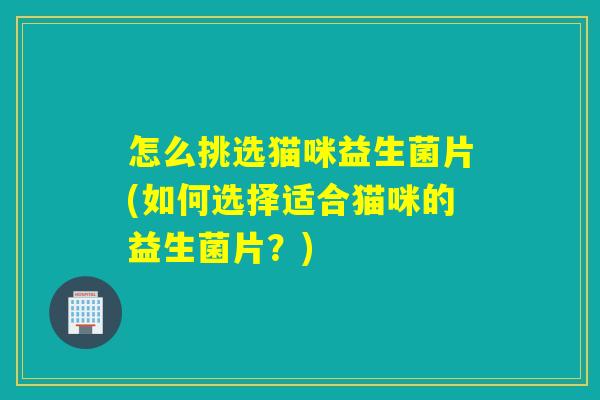 怎么挑选猫咪益生菌片(如何选择适合猫咪的益生菌片？)