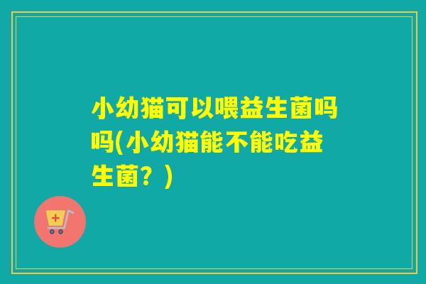 小幼猫可以喂益生菌吗吗(小幼猫能不能吃益生菌？)
