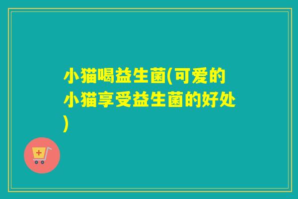 小猫喝益生菌(可爱的小猫享受益生菌的好处)