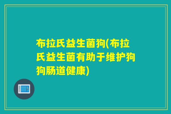 布拉氏益生菌狗(布拉氏益生菌有助于维护狗狗肠道健康)