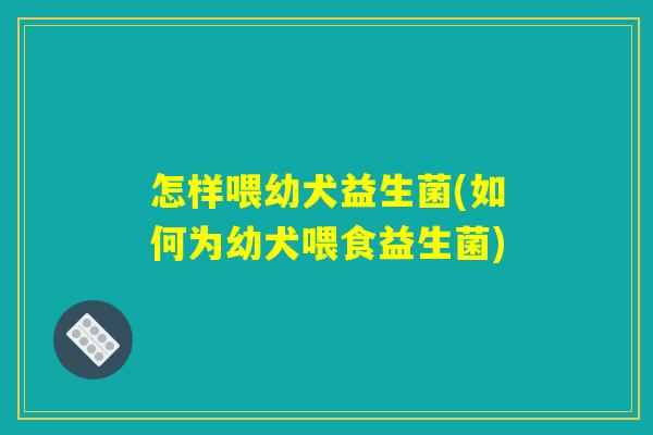 怎样喂幼犬益生菌(如何为幼犬喂食益生菌)