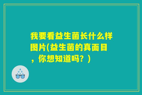 我要看益生菌长什么样图片(益生菌的真面目，你想知道吗？)