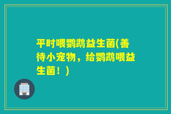 平时喂鹦鹉益生菌(善待小宠物，给鹦鹉喂益生菌！)