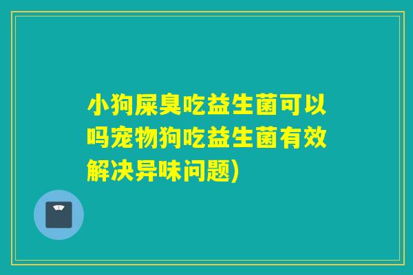 小狗屎臭吃益生菌可以吗宠物狗吃益生菌有效解决异味问题)