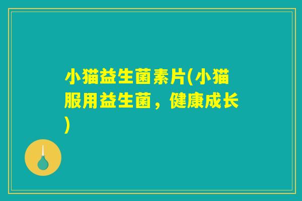 小猫益生菌素片(小猫服用益生菌，健康成长)