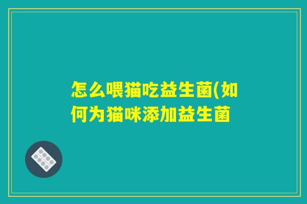 怎么喂猫吃益生菌(如何为猫咪添加益生菌