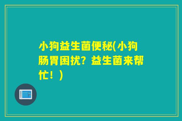 小狗益生菌(小狗肠胃困扰?益生菌来帮忙!) 小狗益生菌(小狗肠胃困扰?益生菌来帮忙!)