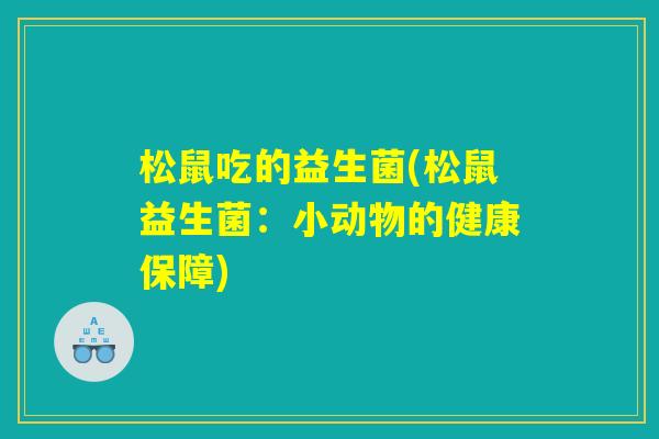 松鼠吃的益生菌(松鼠益生菌：小动物的健康保障)