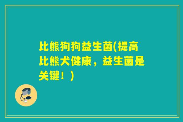 比熊狗狗益生菌(提高比熊犬健康，益生菌是关键！)