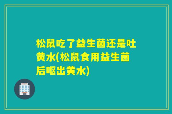 松鼠吃了益生菌还是吐黄水(松鼠食用益生菌后呕出黄水)