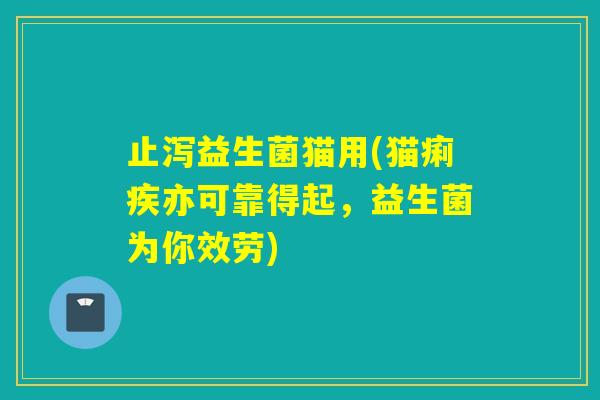 止泻益生菌猫用(猫痢疾亦可靠得起,益生菌为你效劳) 止泻益生菌猫用(猫痢疾亦可靠得起,益生菌为你效劳)