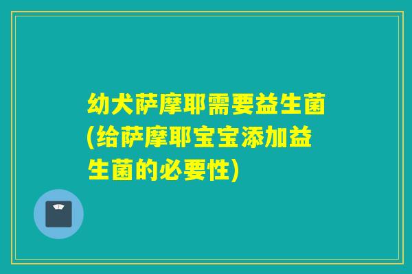 幼犬萨摩耶需要益生菌(给萨摩耶宝宝添加益生菌的必要性)