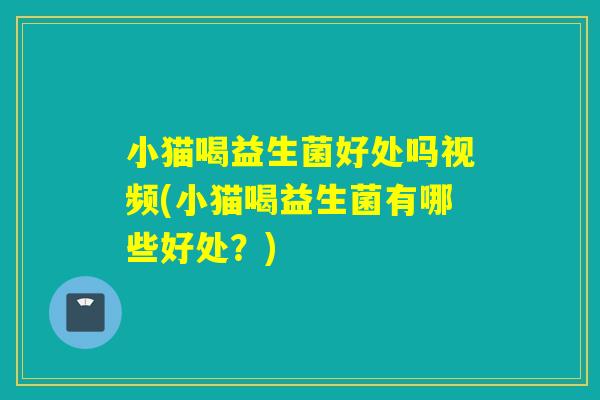 小猫喝益生菌好处吗视频(小猫喝益生菌有哪些好处？)
