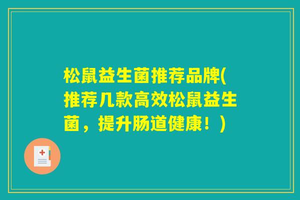 松鼠益生菌推荐品牌(推荐几款高效松鼠益生菌，提升肠道健康！)