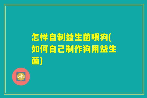 怎样自制益生菌喂狗(如何自己制作狗用益生菌)