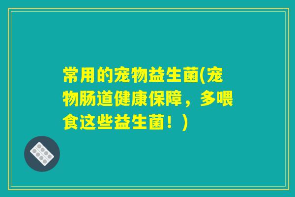常用的宠物益生菌(宠物肠道健康保障，多喂食这些益生菌！)