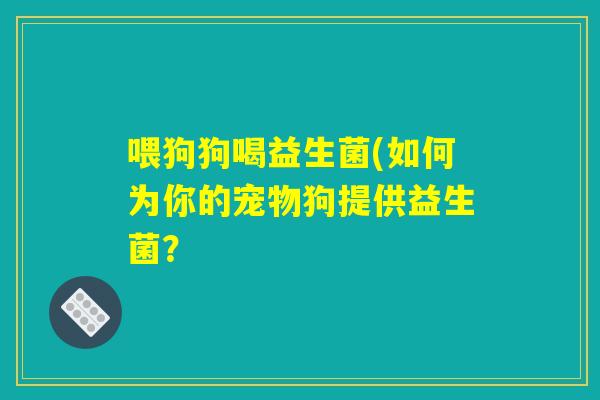 喂狗狗喝益生菌(如何为你的宠物狗提供益生菌？