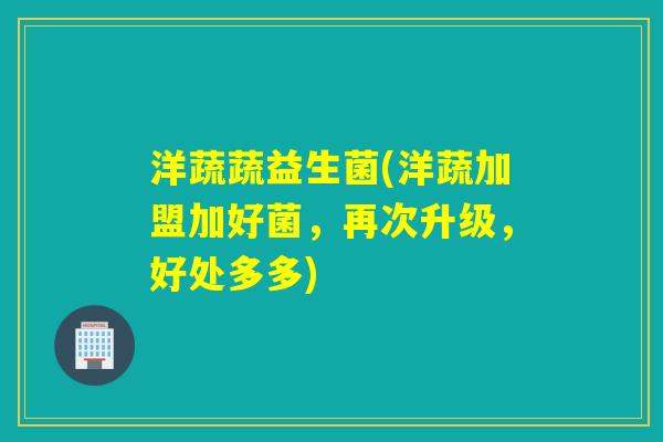 洋蔬蔬益生菌(洋蔬加盟加好菌,再次升级,好处多多) 洋蔬蔬益生菌(洋蔬加盟加好菌,再次升级,好处多多)