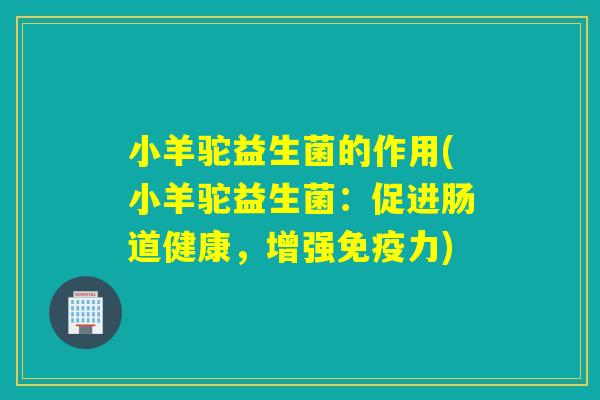小羊驼益生菌的作用(小羊驼益生菌:促进肠道健康,增强力) 小羊驼益生菌的作用(小羊驼益生菌:促进肠道健康,增强力)