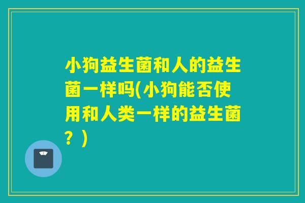小狗益生菌和人的益生菌一样吗(小狗能否使用和人类一样的益生菌?) 小狗益生菌和人的益生菌一样吗(小狗能否使用和人类一样的益生菌?)
