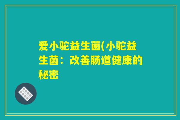 爱小驼益生菌(小驼益生菌：改善肠道健康的秘密