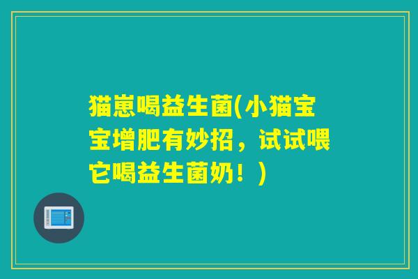 猫崽喝益生菌(小猫宝宝增肥有妙招,试试喂它喝益生菌奶!) 猫崽喝益生菌(小猫宝宝增肥有妙招,试试喂它喝益生菌奶!)