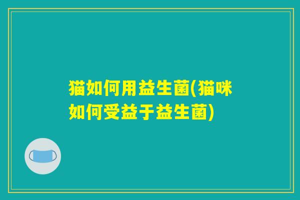 猫如何用益生菌(猫咪如何受益于益生菌) 猫如何用益生菌(猫咪如何受益于益生菌)