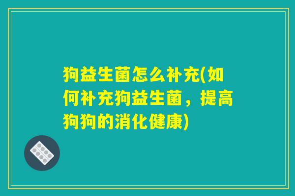 狗益生菌怎么补充(如何补充狗益生菌，提高狗狗的消化健康)