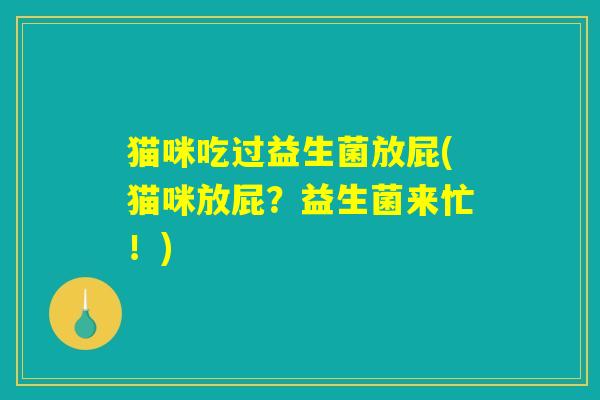 猫咪吃过益生菌放屁(猫咪放屁?益生菌来忙!) 猫咪吃过益生菌放屁(猫咪放屁?益生菌来忙!)