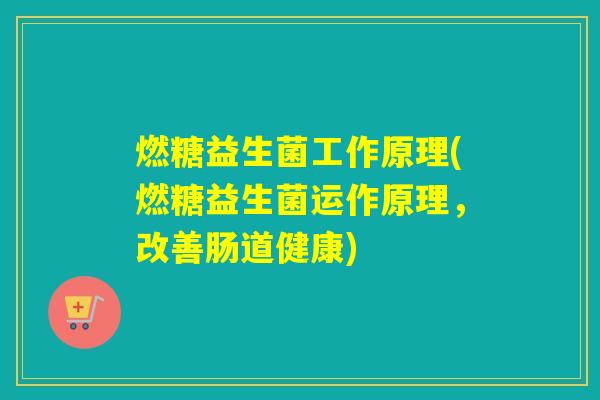 燃糖益生菌工作原理(燃糖益生菌运作原理，改善肠道健康)