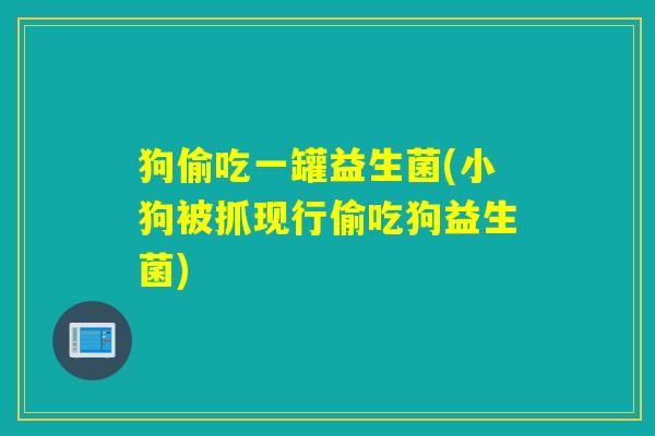 狗偷吃一罐益生菌(小狗被抓现行偷吃狗益生菌)