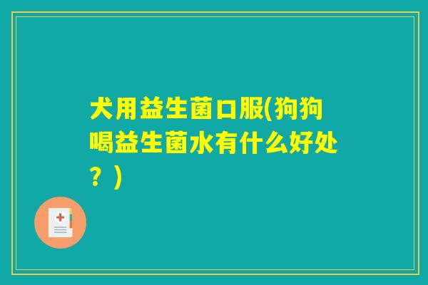 犬用益生菌口服(狗狗喝益生菌水有什么好处？)