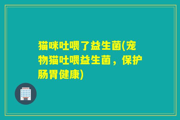猫咪吐喂了益生菌(宠物猫吐喂益生菌，保护肠胃健康)