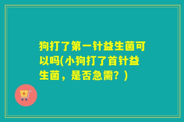 狗打了第一针益生菌可以吗(小狗打了首针益生菌，是否急需？)