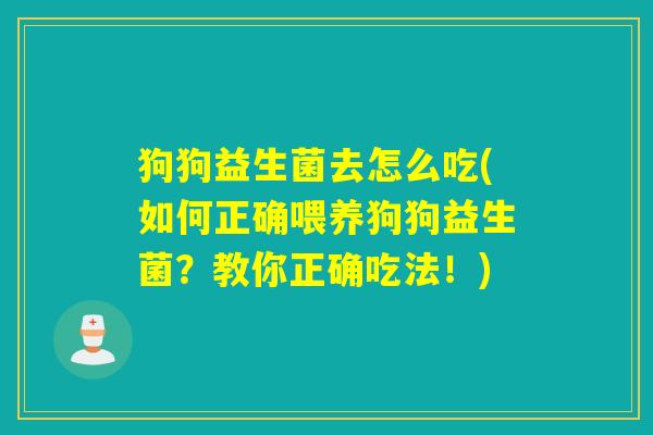 狗狗益生菌去怎么吃(如何正确喂养狗狗益生菌?教你正确吃法!) 狗狗益生菌去怎么吃(如何正确喂养狗狗益生菌?教你正确吃法!)