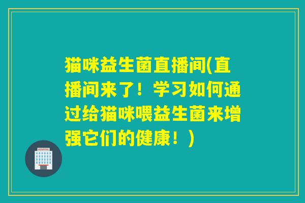 猫咪益生菌直播间(直播间来了！学习如何通过给猫咪喂益生菌来增强它们的健康！)