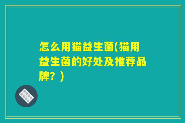 怎么用猫益生菌(猫用益生菌的好处及推荐品牌?) 怎么用猫益生菌(猫用益生菌的好处及推荐品牌?)