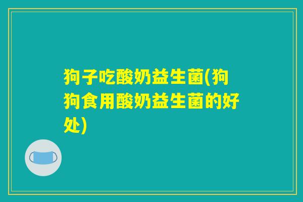 狗子吃酸奶益生菌(狗狗食用酸奶益生菌的好处)