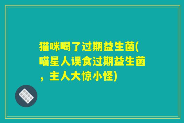 猫咪喝了过期益生菌(喵星人误食过期益生菌，主人大惊小怪)